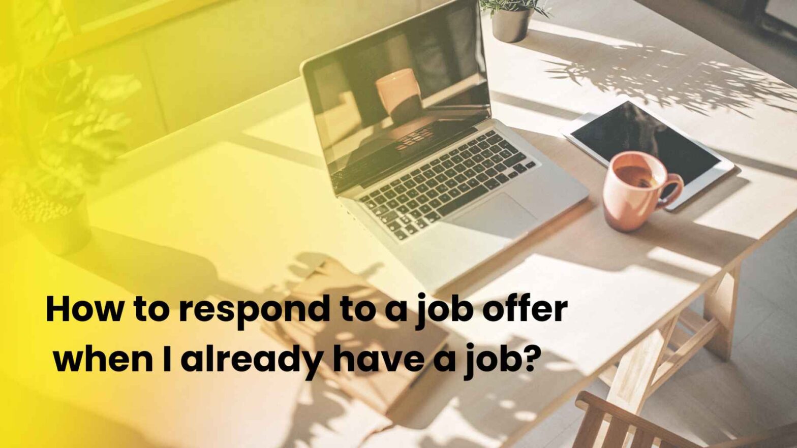 How to Respond to a Job Offer when I Already have a Job? - The Happy Mondays co