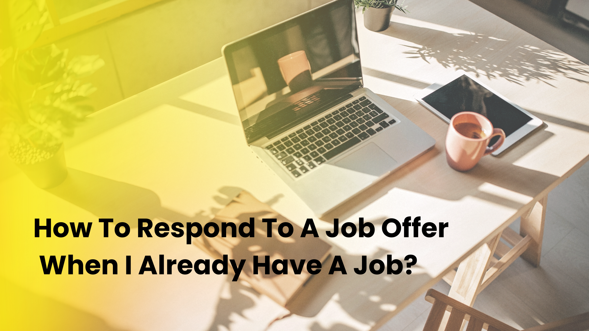 How to Respond to a Job Offer when I Already have a Job? - THMC